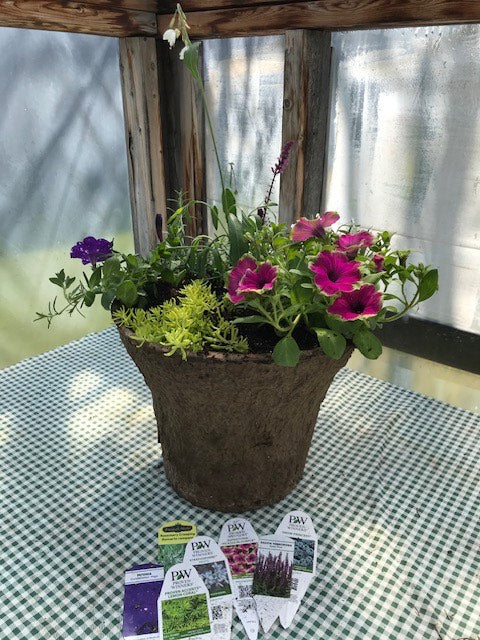 Subscription Four Seasons of Container Gardens