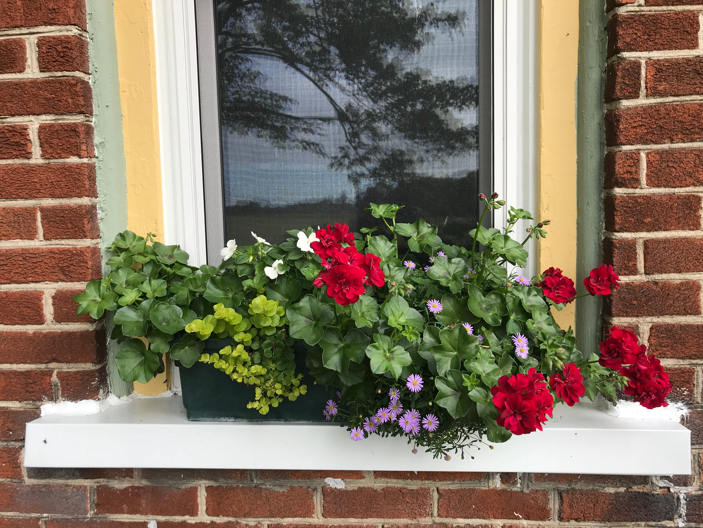 BTA Window Box Club