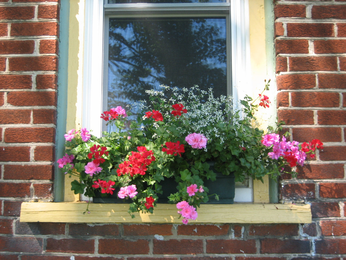 BTA Window Box Club